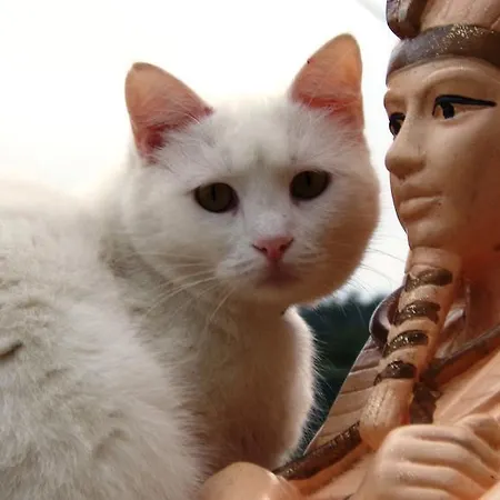 게스트하우스 Kheops