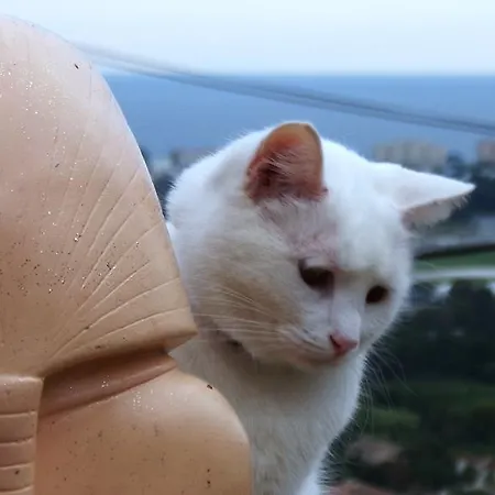Kheops 망들리유 라 나플